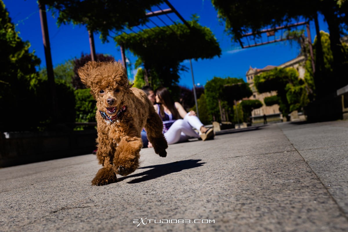 001_FOTOGRAFO_BODAS_SALAMANCA