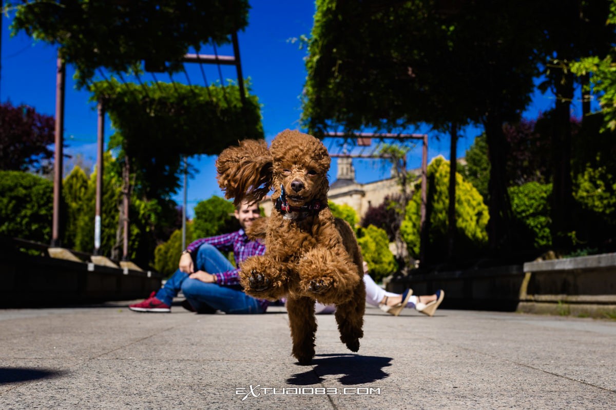 011_FOTOGRAFO_BODAS_SALAMANCA