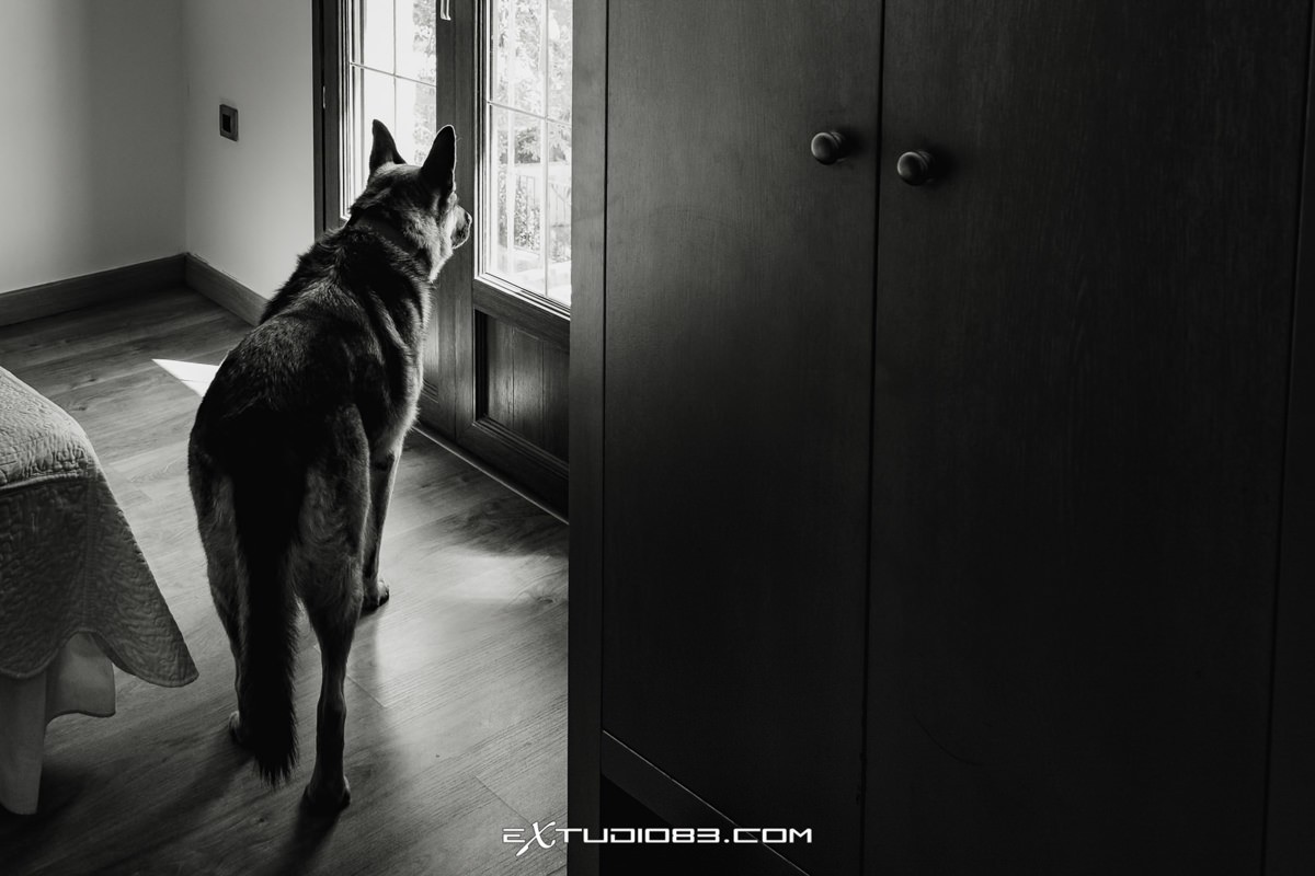 003_FOTOGRAFO_BODAS_EXTREMADURA_-2