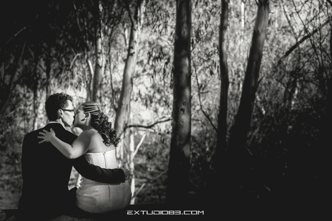 REPORTAJE BODA CRISTINA Y TOMAS EXTUDIO 83  1079 PLASENCIA CACERES