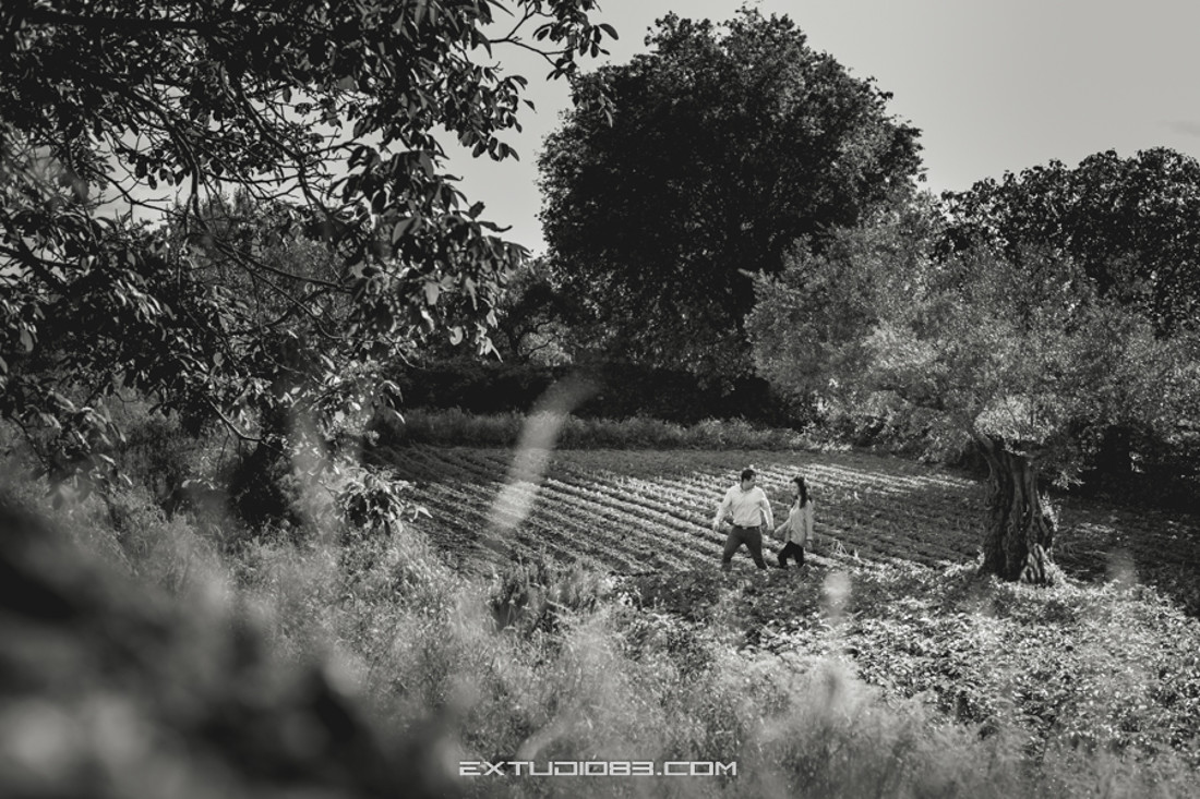 REPORTAJE PREBODA ANA Y ALEX EXTUDIO 83  142 EXTUDIO83 PLASENNCIA