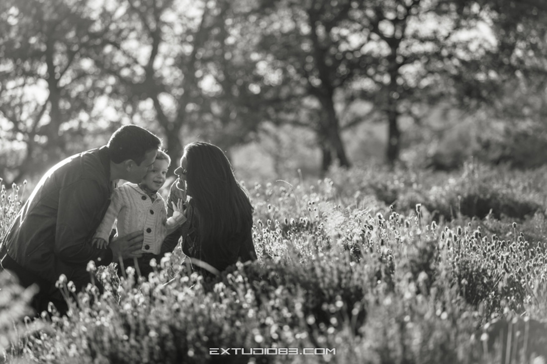 REPORTAJE PREBODA CESAR Y PATRI EXTUDIO 83  132 EXTUDIO83 PLASENNCIA